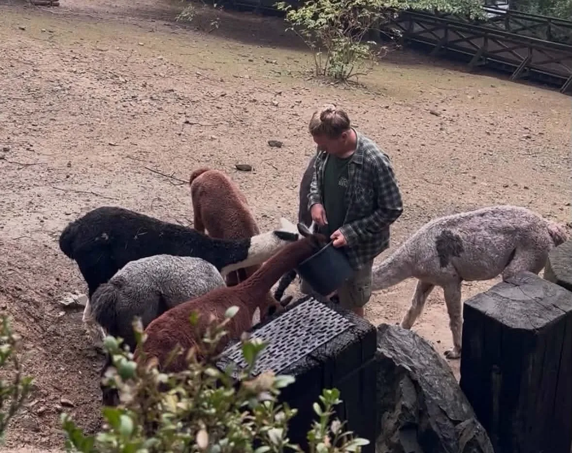 Déšť návštěvníky brněnské zoo neodradil. Poznávali život zvířat ve stádech
