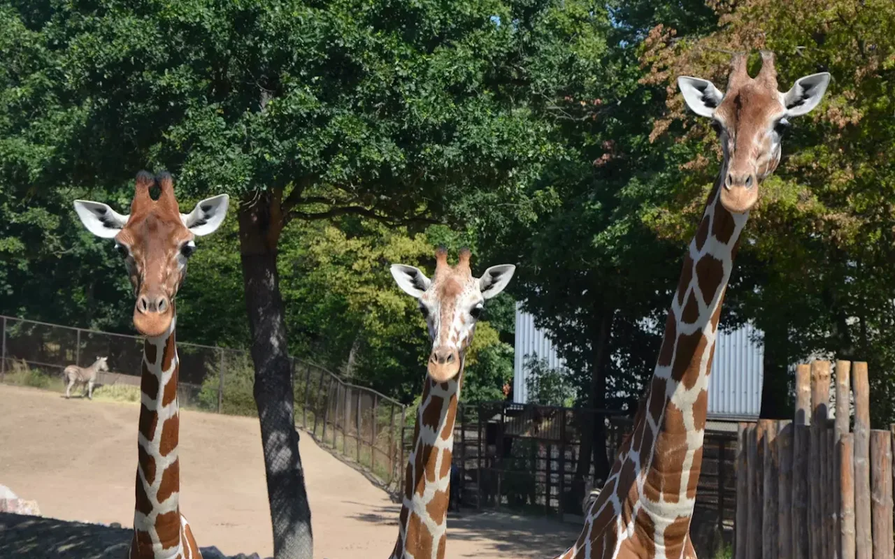 Kam o víkendu na jižní Moravě? Na noční bloudění, den v zoo nebo neckyádu
