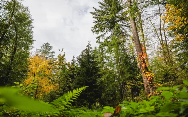 Barevný podzim v Arboretu Křtiny: den otevřených dveří