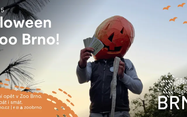 Halloween v Zoo Brno
