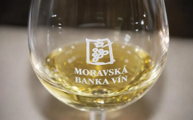 Brno – řízená degustace vín – Vinařství Lahofer
