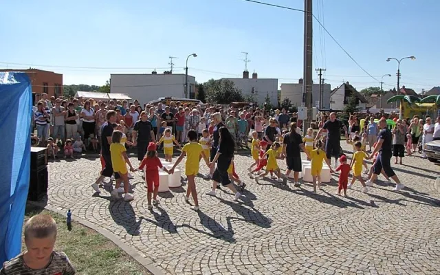 Sokolové ze Židlochovic a okolí