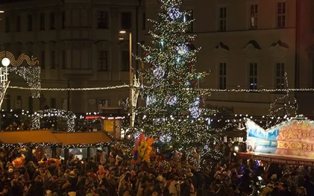 Jedle, která vyhrála v hlasování Brňanů je skutečnou ozdobou města, foto: Brněnská Drbna