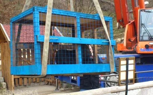 Stěhování lachtanů, foto: Brněnská Drbna, David Zouhar