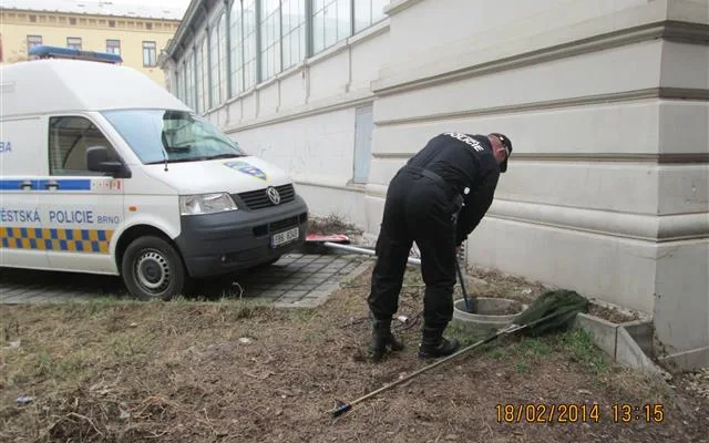 Uvězněnou kočku vyprošťovali hasiči i strážníci, foto: Městská policie Brno