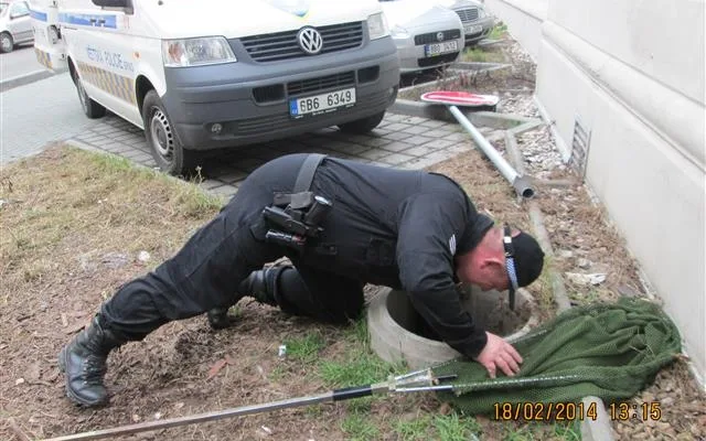 Uvězněnou kočku vyprošťovali hasiči i strážníci, foto: Městská policie Brno