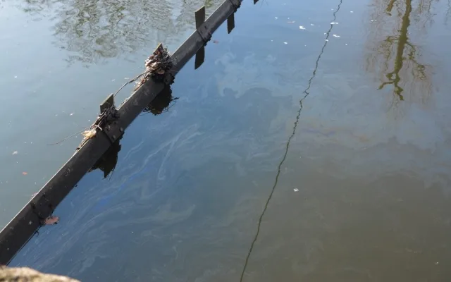 Hasiči likvidovali ropnou látku na řece Svratce, foto: hasiči JMK