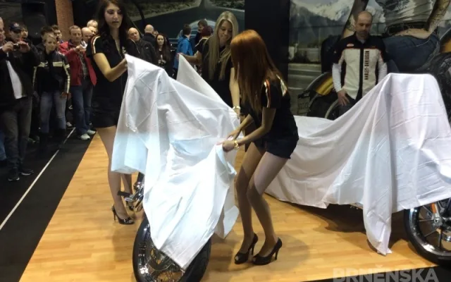 Harley-Davidson představil nové modely pro rok 2014, foto: Brněnská Drbna, David Zouhar
