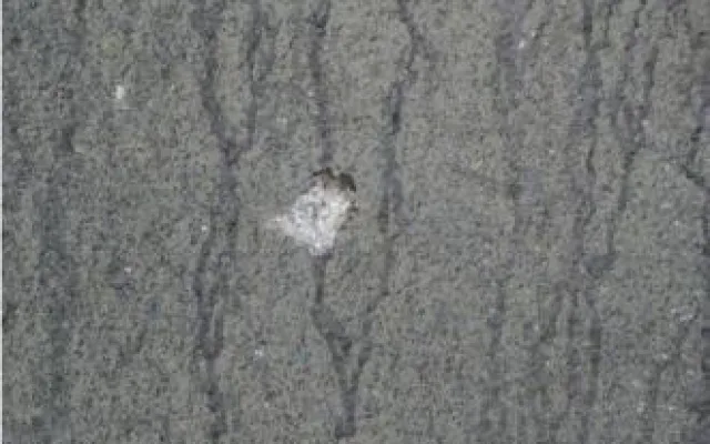Muž střílel u zastávky Babická, foto: Policie ČR