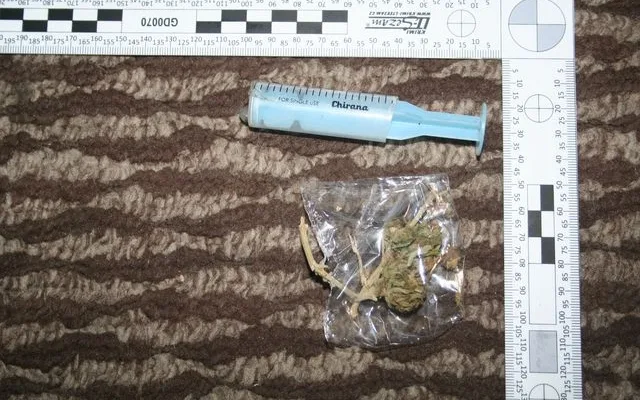 Policisté zajistili omamné látky, foto: Policie ČR