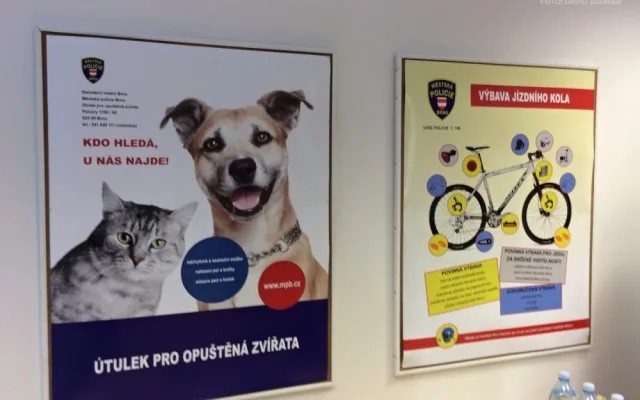 Kontaktní místo má i sál pro patnáct lidí, kde se budou konat zajímavé přednášky, foto: Brněnská Drbna, David Zouhar