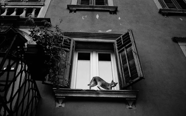 Jedna z fotografií, které si můžete pořídit a přispět tak na dobrou věc. Foto: Richard Procházka, Jiří Pařízek