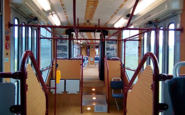 Sváteční šalina