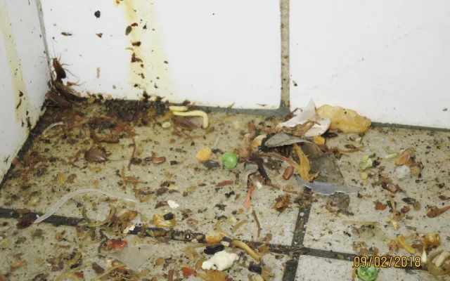 V asijském bistru Dragon panovaly otřesné hygienické podmínky