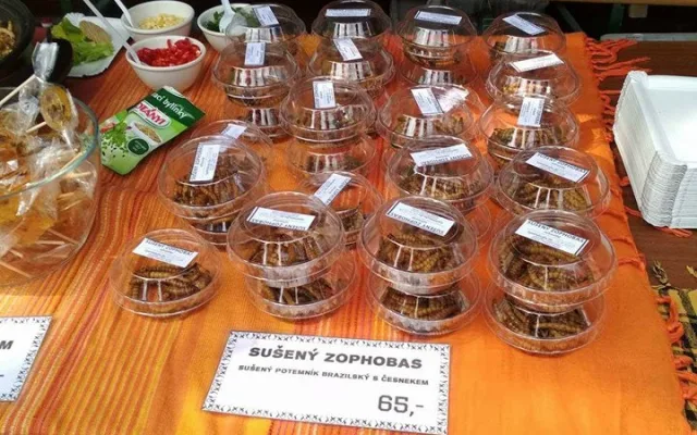 extrem food festival6