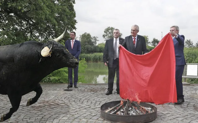 zeman trenýrky 9