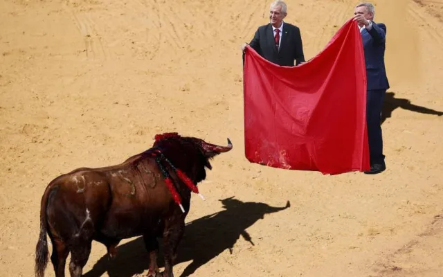 zeman trenýrky