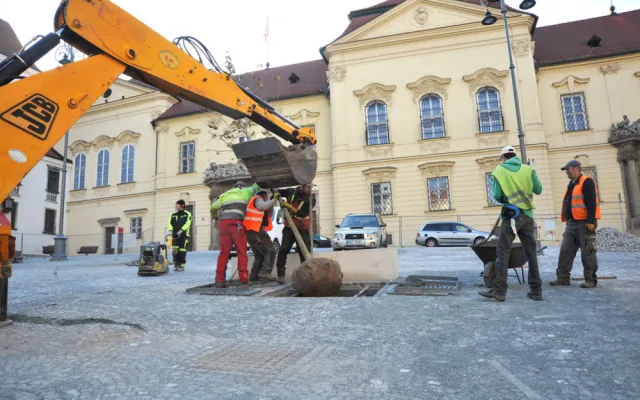 Stromy na Dominikánském náměstí