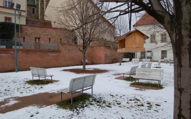 Práce na revitalizaci okolí petrovské katedrály