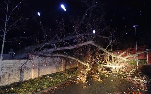 Zdroj: MP Brno