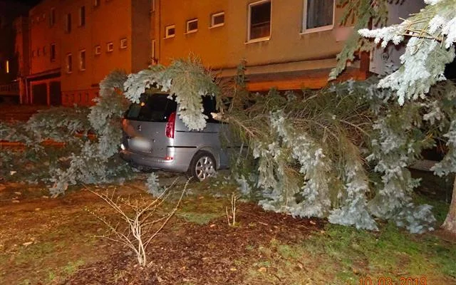 Zdroj: MP Brno