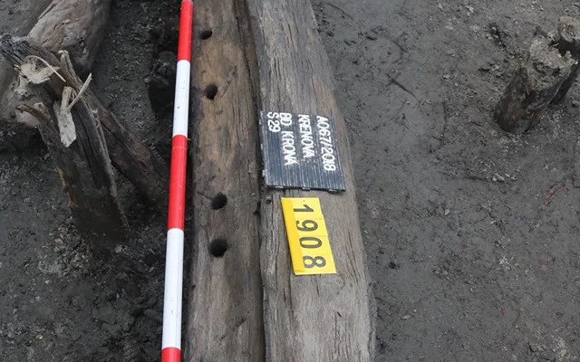 Křenová