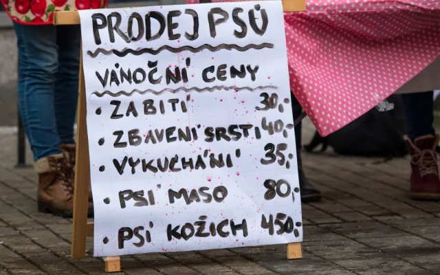 ilustrační foto