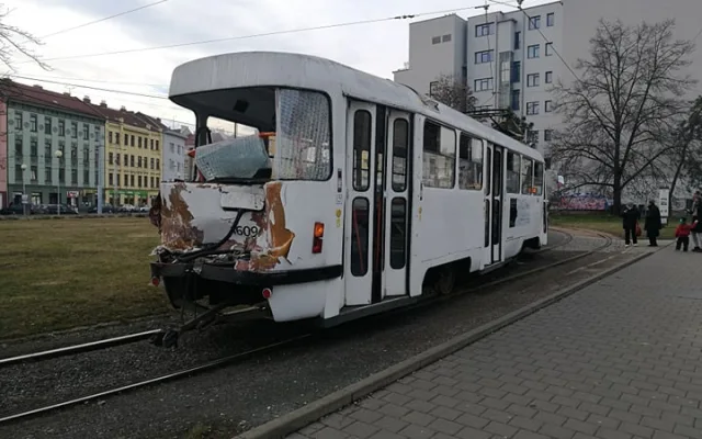 šalina bum16