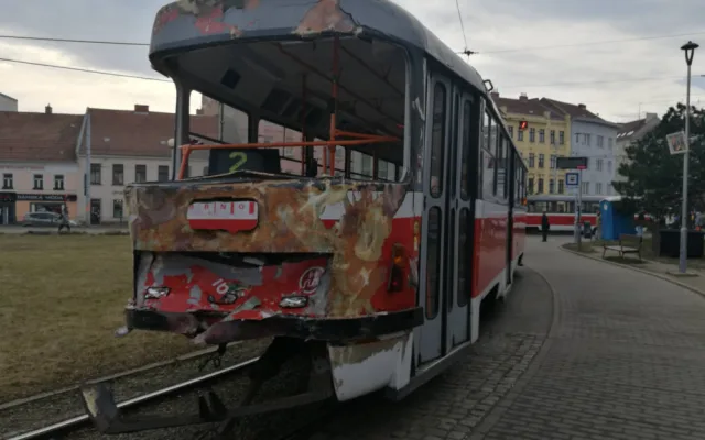 šalina bum12