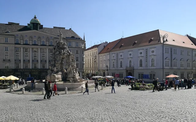 Zelňák opět žije. Na znovuotevřených trzích nakupují lidé od pondělí sazenice a zeleninu