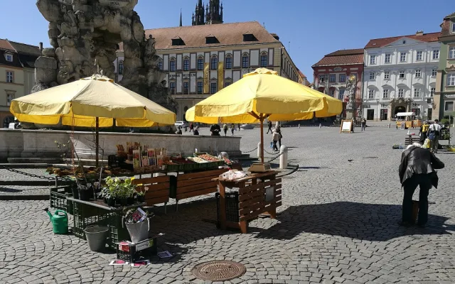 Zelňák opět žije. Na znovuotevřených trzích nakupují lidé od pondělí sazenice a zeleninu