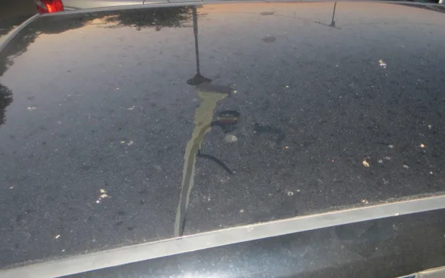 FOTO: Rozřezané pneumatiky a rozleptaný lak. Vandal opět ničil auta na Brněnsku