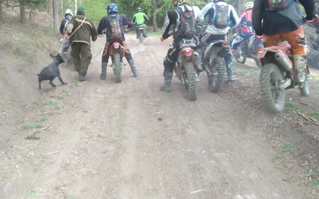 FOTO: Policie pátrá po agresivním gangu motorkářů, kteří napadl skupinu lesních dělníků