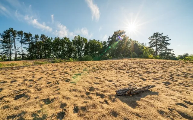 Česká Sahara