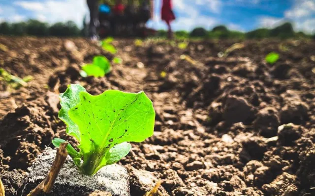 Rodinné farmě z Brna hrozí kvůli územnímu plánu zánik. Farmáři shání podpisy do petice