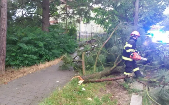 FOTO: Vítr na jižní Moravě lámal stromy, tisíce domácností jsou bez proudu