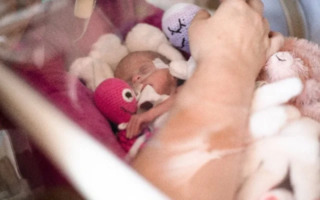 Špilberk se v pondělí purpurově rozzáří, barvou králů připomene Světový den předčasně narozených dětí