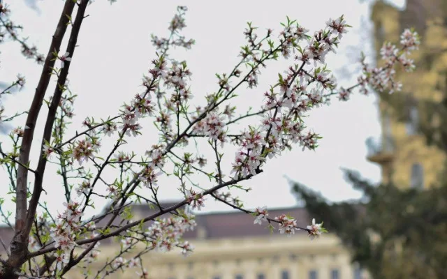 Botanická zahrada Masarykovy univerzity zahájila novou sezónu