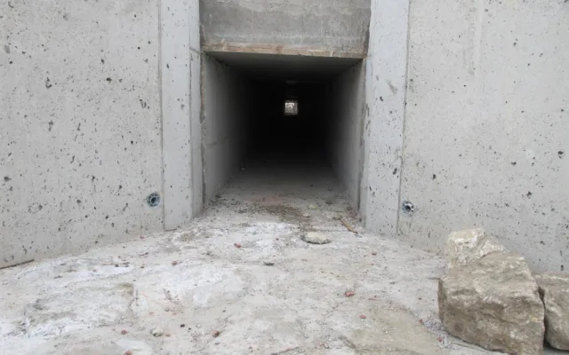 Vydry i lišky se naučily používat bezpečné tunely pod silnicí