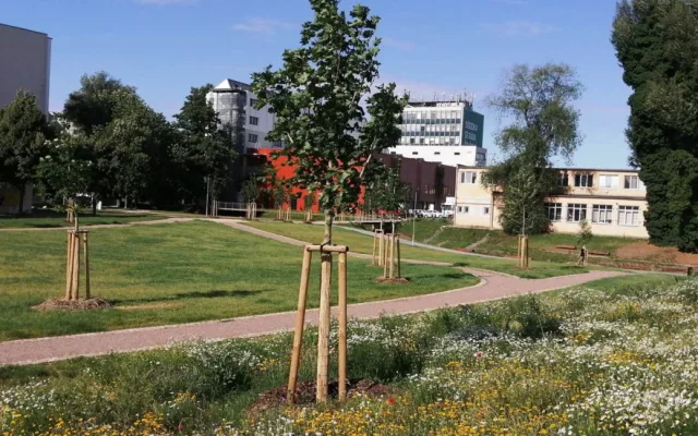 Nový park v Komárově získá jméno v anketě. Navrhovat můžete od září