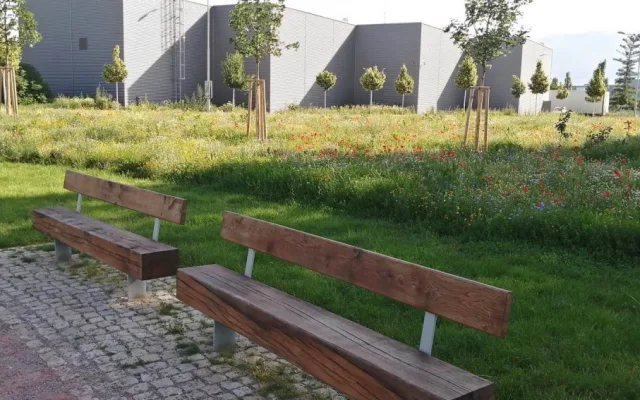 Nový park v Komárově získá jméno v anketě. Navrhovat můžete od září