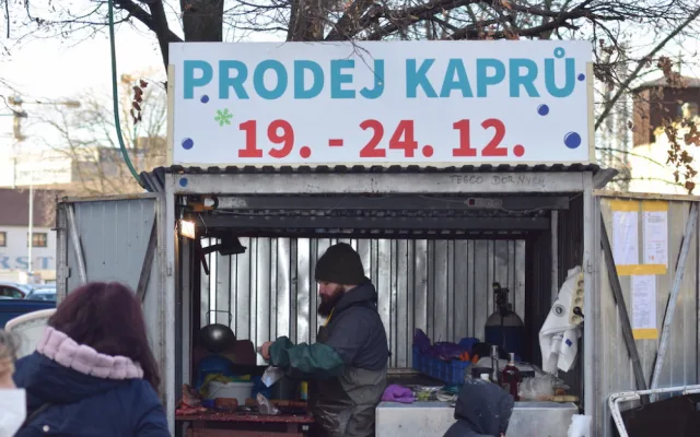 Do Brna připluli vánoční kapři, lidé si za rybu letos připlatí