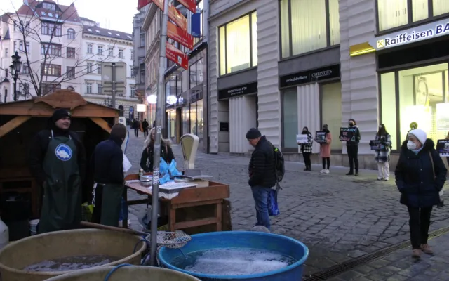 Aktivisté v Brně se chovali jako kapři