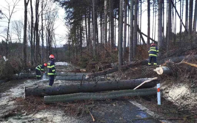 Na jižní Moravu dorazil silný vítr. Tisíce odběratelů jsou bez elektřiny