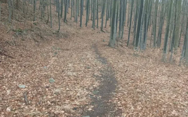 Na Brněnsku hledají nepřítele cyklistů, který na ně nastražil zákeřnou past