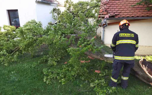 Bouřka na jihu Moravy lámala stromy a utrhla střechu
