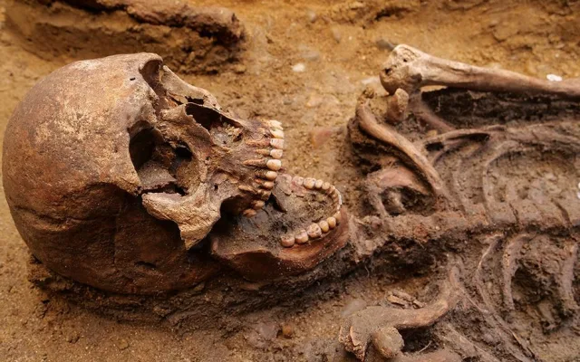 Archeologové našli na jižní Moravě kostru germánského bojovníka pohřbeného se psy