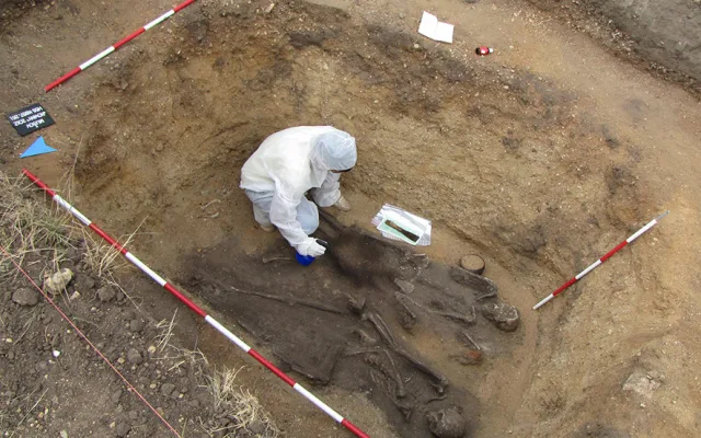 Archeologové našli na jižní Moravě kostru germánského bojovníka pohřbeného se psy