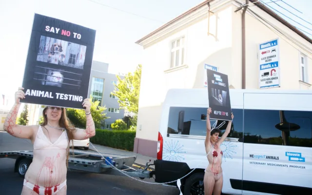 Aktivistky na jižní Moravě se kvůli zvířatům svlékly a polily umělou krví