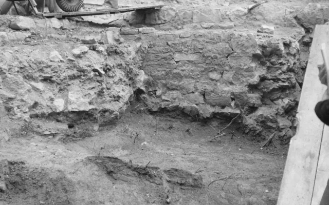 Dřevo brněnské rotundy pochází už z dob Velké Moravy. Podezřelé, říkají vědci
